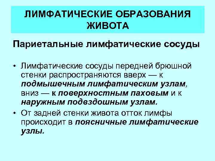 ЛИМФАТИЧЕСКИЕ ОБРАЗОВАНИЯ ЖИВОТА Париетальные лимфатические сосуды • Лимфатические сосуды передней брюшной стенки распространяются вверх