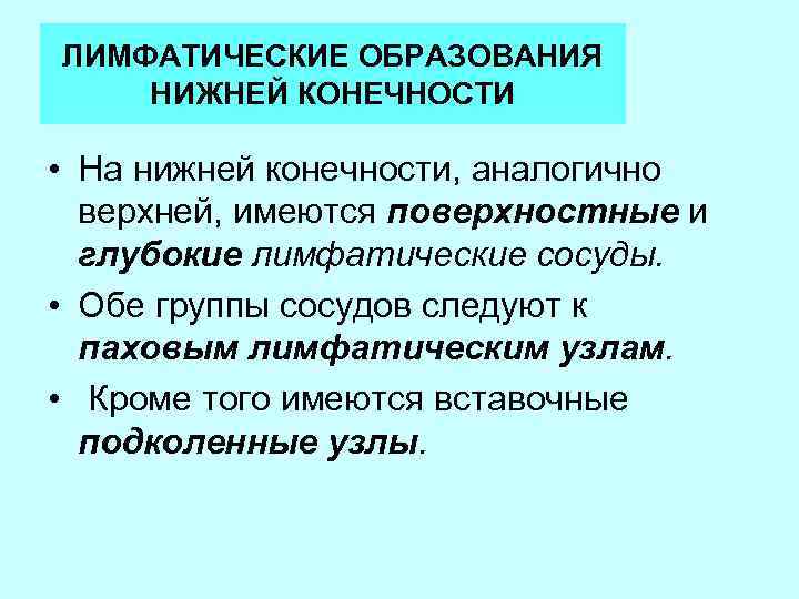 ЛИМФАТИЧЕСКИЕ ОБРАЗОВАНИЯ НИЖНЕЙ КОНЕЧНОСТИ • На нижней конечности, аналогично верхней, имеются поверхностные и глубокие