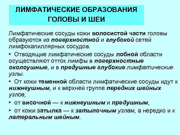 ЛИМФАТИЧЕСКИЕ ОБРАЗОВАНИЯ ГОЛОВЫ И ШЕИ Лимфатические сосуды кожи волосистой части головы образуются из поверхностной