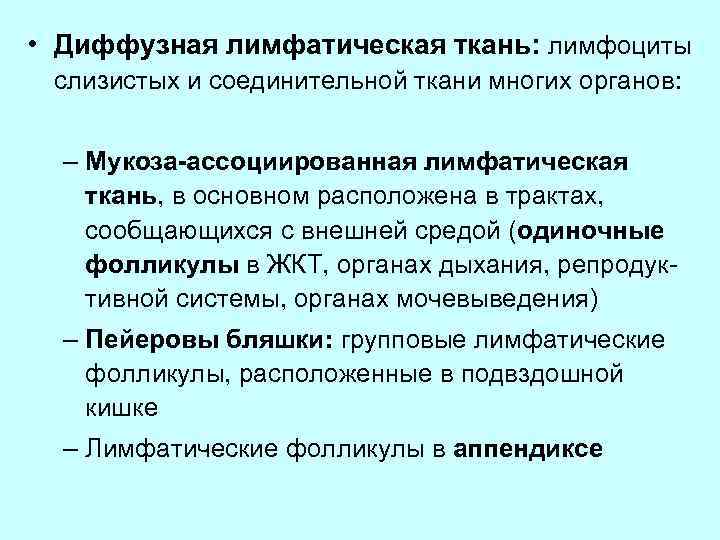  • Диффузная лимфатическая ткань: лимфоциты слизистых и соединительной ткани многих органов: – Мукоза-ассоциированная