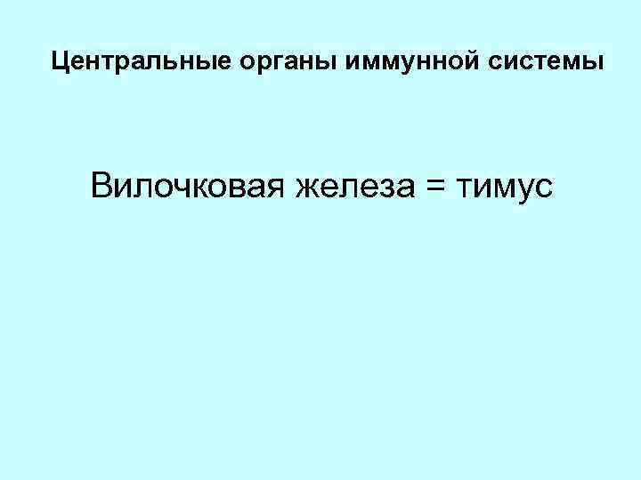 Центральные органы иммунной системы Вилочковая железа = тимус 