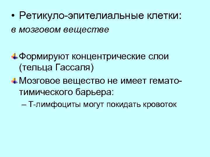  • Ретикуло-эпителиальные клетки: в мозговом веществе Формируют концентрические слои (тельца Гассаля) Мозговое вещество
