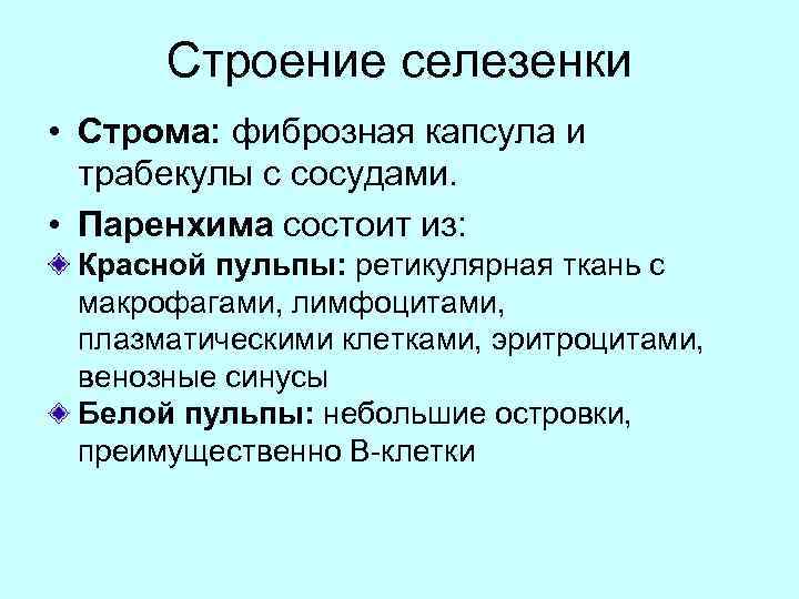 Строение селезенки • Строма: фиброзная капсула и трабекулы с сосудами. • Паренхима состоит из:
