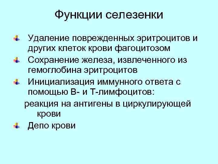 Функции селезенки Удаление поврежденных эритроцитов и других клеток крови фагоцитозом Сохранение железа, извлеченного из
