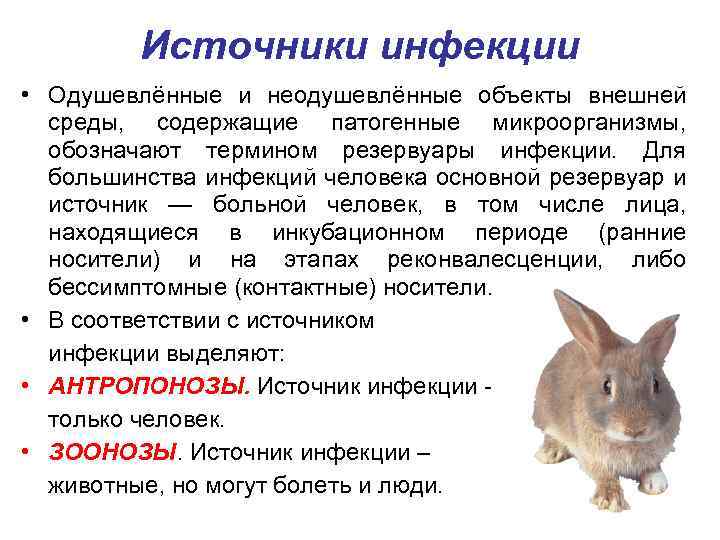 Источники инфекции • Одушевлённые и неодушевлённые объекты внешней среды, содержащие патогенные микроорганизмы, обозначают термином