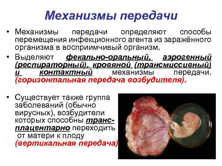 Механизмы передачи • Механизмы передачи определяют способы перемещения инфекционного агента из заражённого организма в