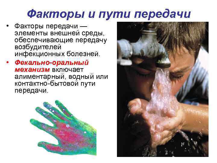 Факторы и пути передачи • Факторы передачи — элементы внешней среды, обеспечивающие передачу возбудителей