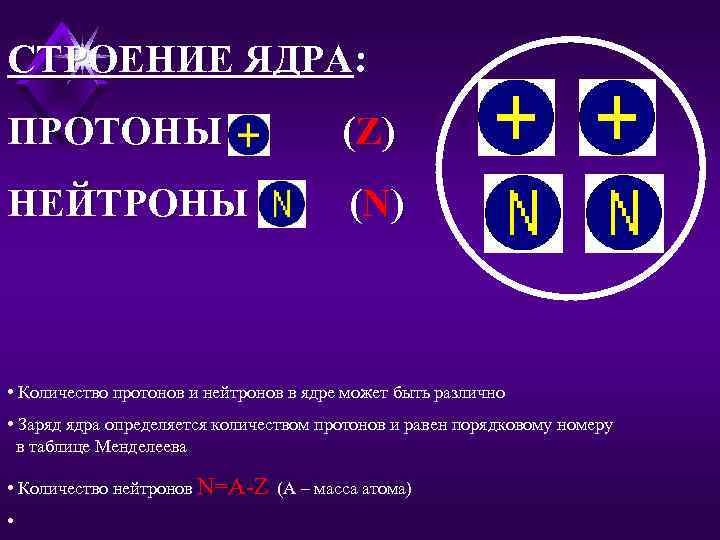 СТРОЕНИЕ ЯДРА: ПРОТОНЫ (Z ) НЕЙТРОНЫ (N ) • Количество протонов и нейтронов в