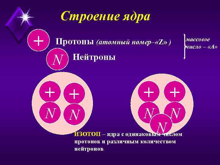Строение ядра + Протоны (атомный номер– «Z» ) N Нейтроны + + N N