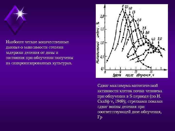Наиболее четкие количественные данные о зависимости степени задержки деления от дозы и состояния при