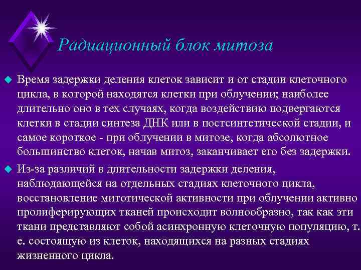 Радиационный блок митоза u u Время задержки деления клеток зависит и от стадии клеточного