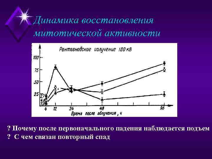 Динамика восстановления митотической активности ? Почему после первоначального падения наблюдается подъем ? С чем