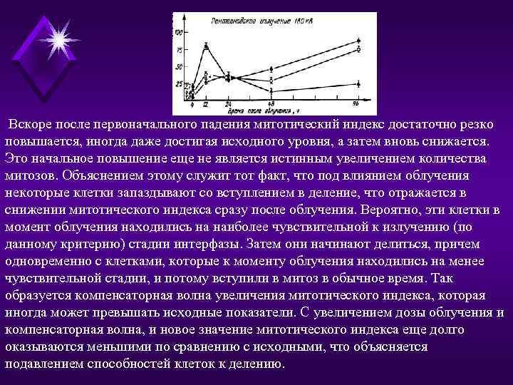 Вскоре после первоначального падения митотический индекс достаточно резко повышается, иногда даже достигая исходного уровня,