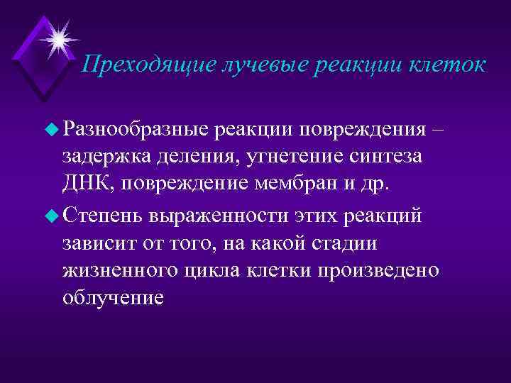 Преходящие лучевые реакции клеток u Разнообразные реакции повреждения – задержка деления, угнетение синтеза ДНК,
