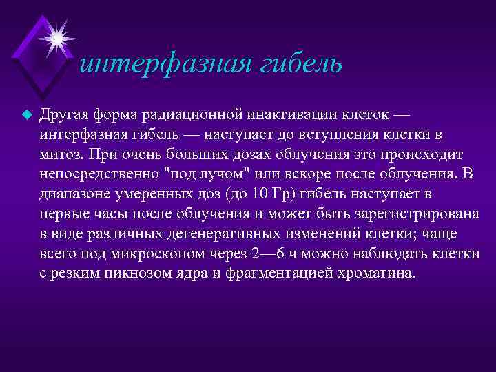 интерфазная гибель u Другая форма радиационной инактивации клеток — интерфазная гибель — наступает до