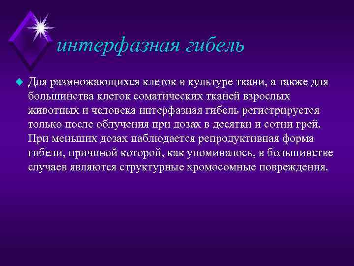 интерфазная гибель u Для размножающихся клеток в культуре ткани, а также для большинства клеток