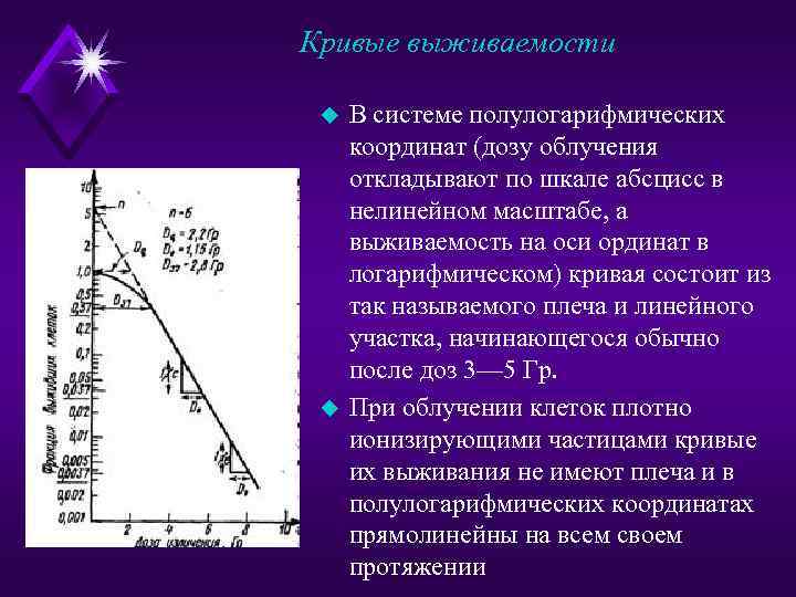 Кривые выживаемости u u В системе полулогарифмических координат (дозу облучения откладывают по шкале абсцисс