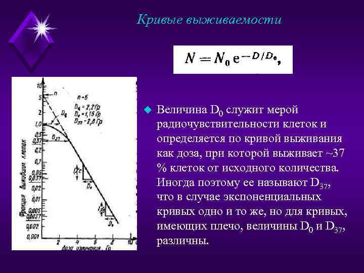 Кривые выживаемости u Величина D 0 служит мерой радиочувствительности клеток и определяется по кривой