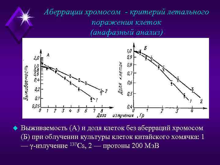 Аберрации хромосом - критерий летального поражения клеток (анафазный анализ) u Выживаемость (A) и доля