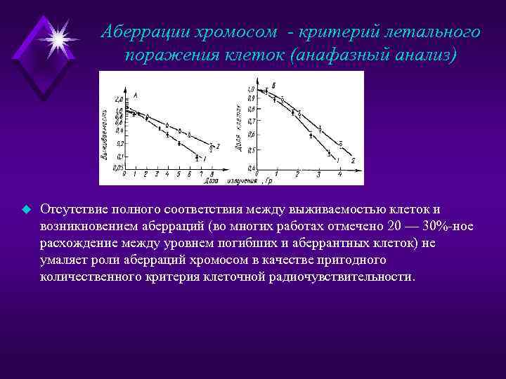 Аберрации хромосом - критерий летального поражения клеток (анафазный анализ) u Отсутствие полного соответствия между