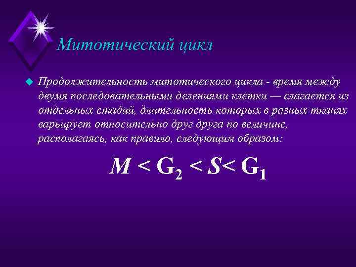 Митотический цикл u Продолжительность митотического цикла - время между двумя последовательными делениями клетки —