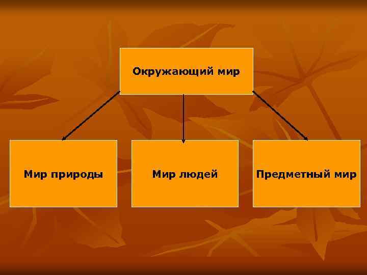Окружающий мир Мир природы Мир людей Предметный мир 