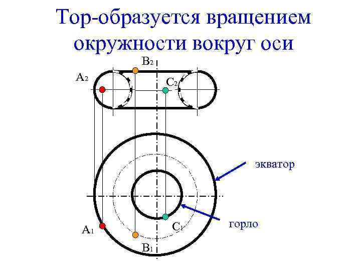 Тор-образуется вращением окружности вокруг оси В 2 А 2 С 2 экватор С 1