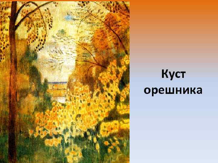 Куст орешника 