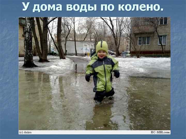 У дома воды по колено. 