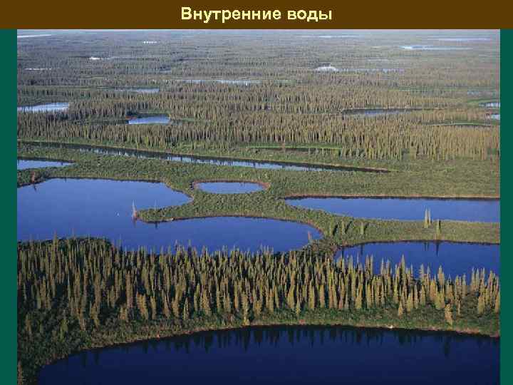 Внутренние воды 