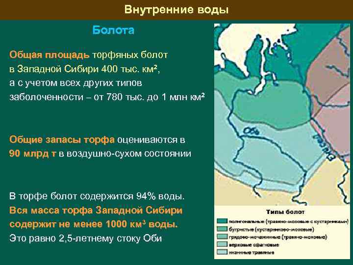Внутренние воды Болота Общая площадь торфяных болот в Западной Сибири 400 тыс. км 2,