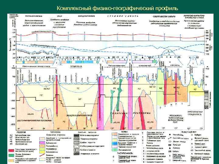Комплексный физико географический профиль 