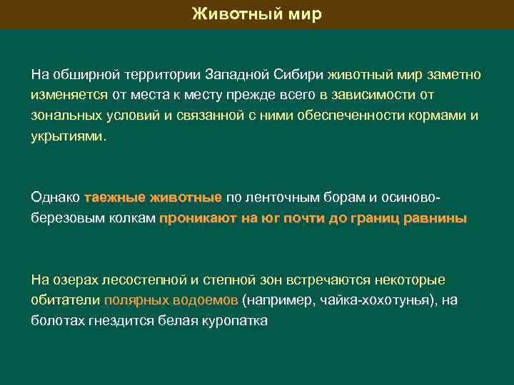 Животный мир На обширной территории Западной Сибири животный мир заметно изменяется от места к