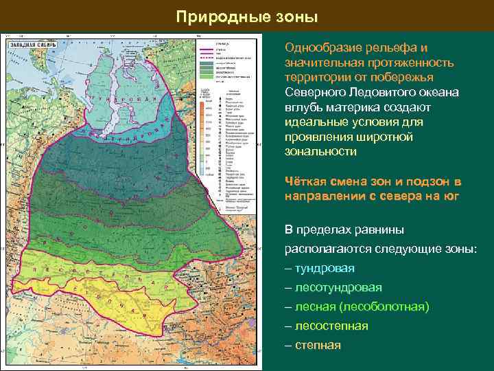 Природные зоны Однообразие рельефа и значительная протяженность территории от побережья Северного Ледовитого океана вглубь