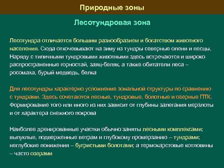 Природные зоны Лесотундровая зона Лесотундра отличается большим разнообразием и богатством животного населения. Сюда откочевывают