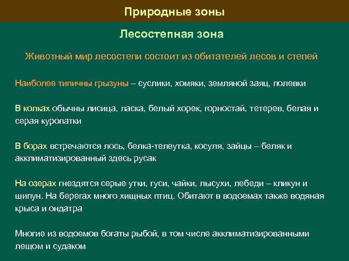 Природные зоны Лесостепная зона Животный мир лесостепи состоит из обитателей лесов и степей Наиболее