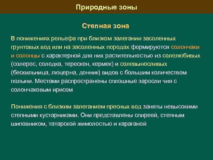 Природные зоны Степная зона В понижениях рельефа при близком залегании засоленных грунтовых вод или