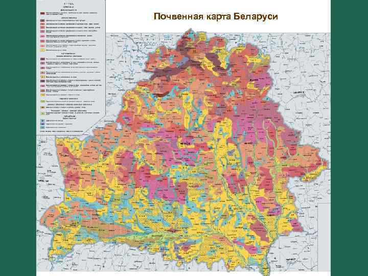 Почвенная карта Беларуси 