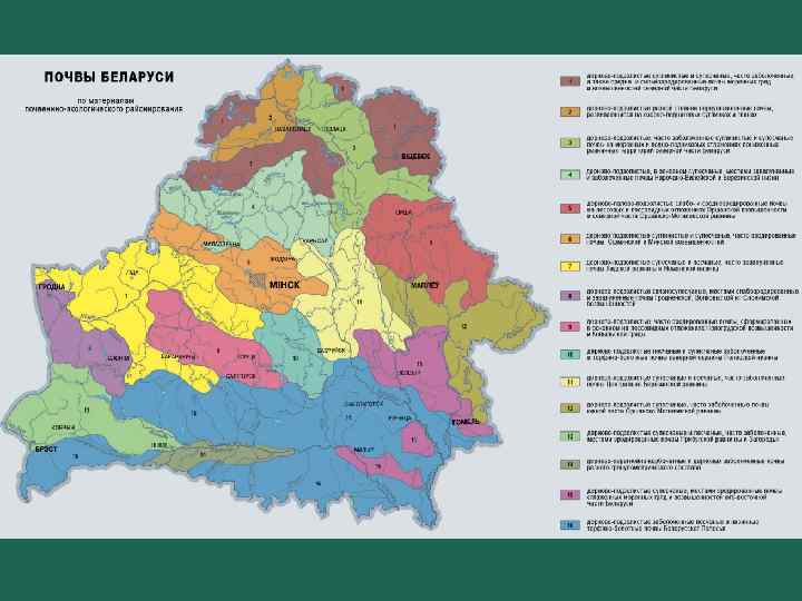 План беларуси. Карта почв Беларуси. Карта грунтов Беларуси. Зональные типы почв Беларуси. Почвенная карта Беларуси.