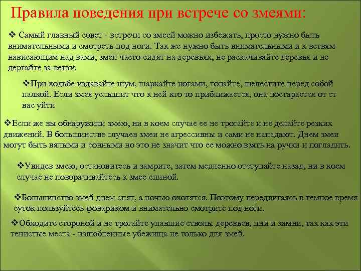 Правила поведения при встрече со змеями: v Самый главный совет - встречи со змеей