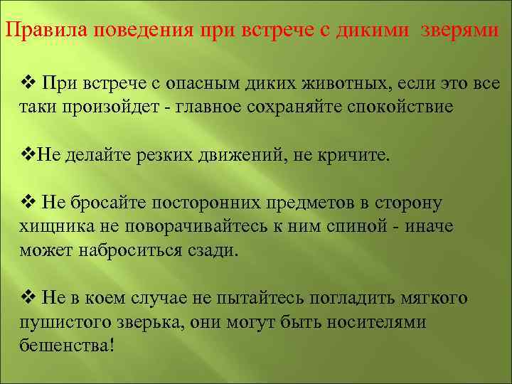 Правила поведения при встрече с дикими зверями v При встрече с опасным диких животных,