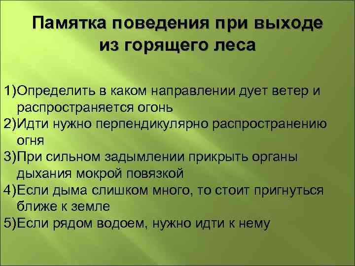 Памятка поведения при выходе из горящего леса 1) Определить в каком направлении дует ветер