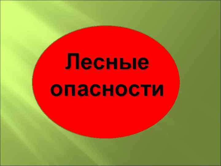 Лесные опасности 