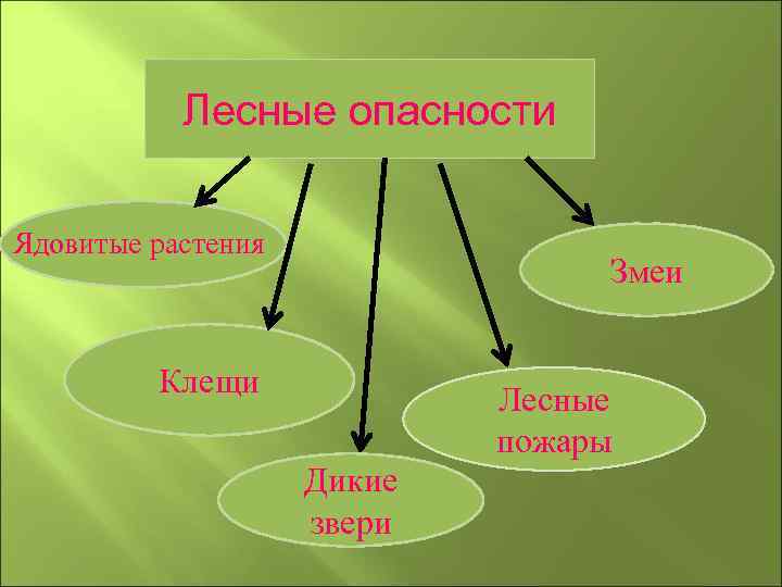 Лесные опасности Ядовитые растения Змеи Клещи Лесные пожары Дикие звери 