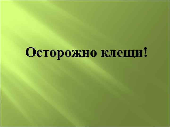 Осторожно клещи! 