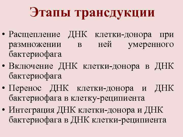 Этапы трансдукции • Расщепление ДНК клетки-донора при размножении в ней умеренного бактериофага • Включение