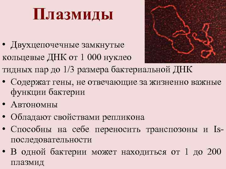 Плазмиды • Двухцепочечные замкнутые кольцевые ДНК от 1 000 нуклео тидных пар до 1/3