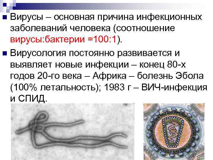 Вирусы – основная причина инфекционных заболеваний человека (соотношение вирусы: бактерии =100: 1). n Вирусология