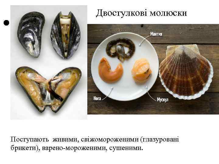 Двостулкові молюски Поступають живими, свіжомороженими (глазуровані брикети), варено-мороженими, сушеними. 