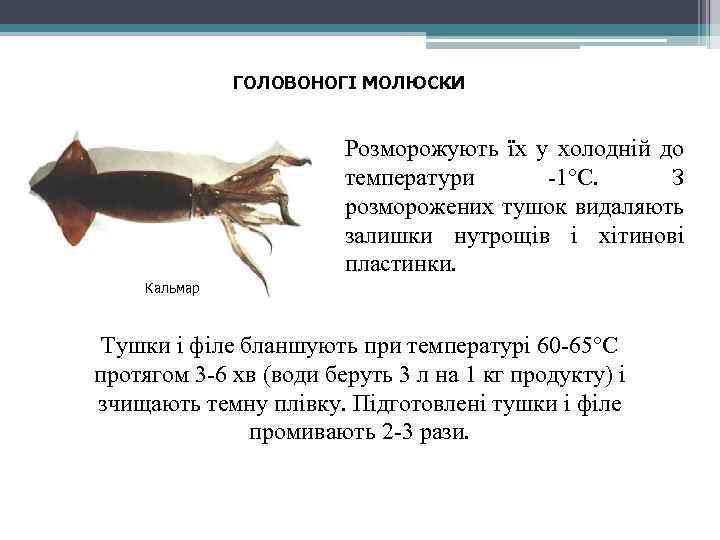 ГОЛОВОНОГІ МОЛЮСКИ Розморожують їх у холодній до температури -1°С. З розморожених тушок видаляють залишки